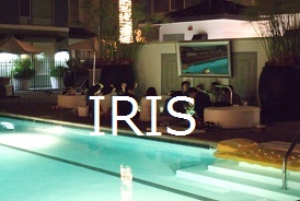 �T���v��